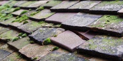 Engedi roof repair costs